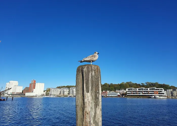 Stylish Ground-floor Apartment